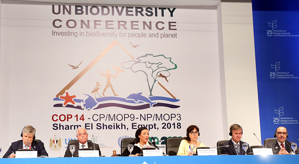 Environnement / Conférence internationale sur la biodiversité en Egypte : «Investir dans la biodiversité pour les hommes et pour la planète».